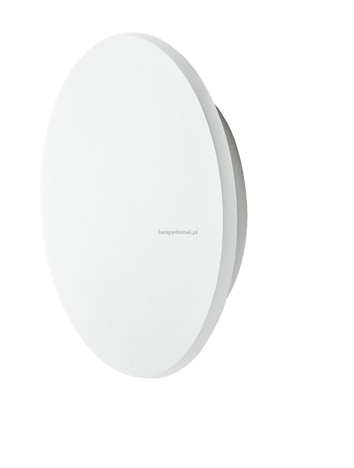 ANCONA S WHITE