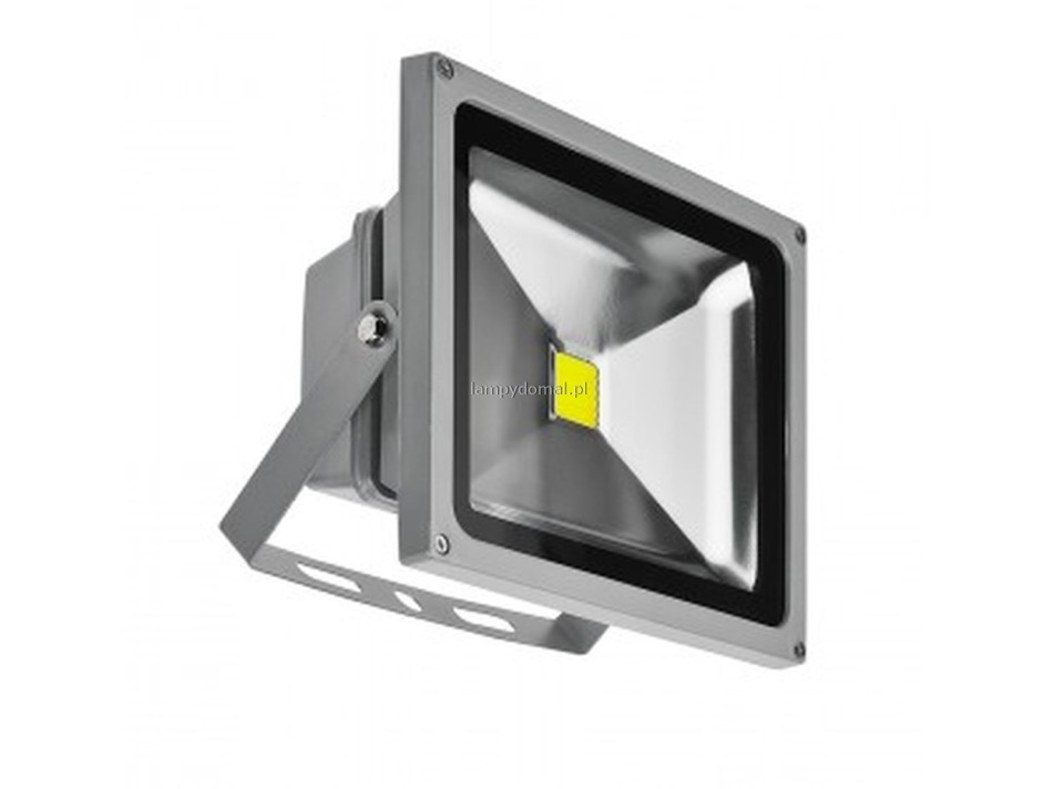 FLOOD LIGHT 30W DGR