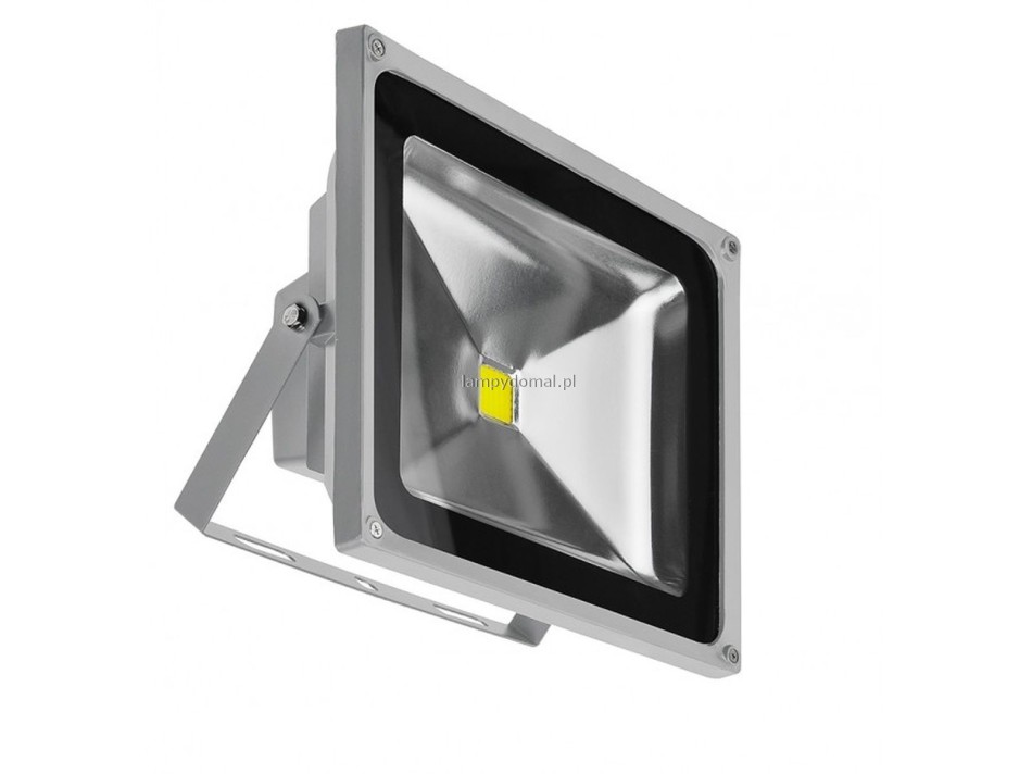 FLOOD LIGHT 50W BGR