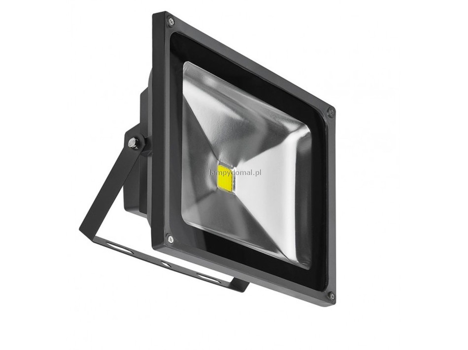 FLOOD LIGHT 50W DGR