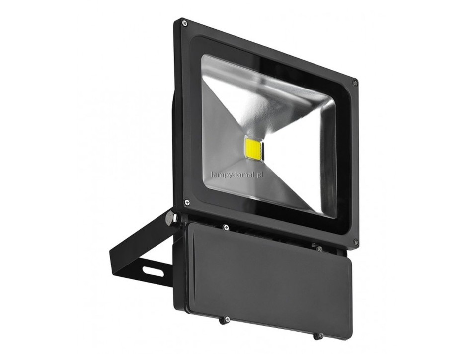 FLOOD LIGHT 80W DGR