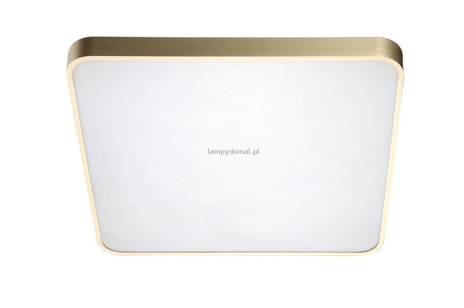 QUADRO 50 LED CCT GOLD